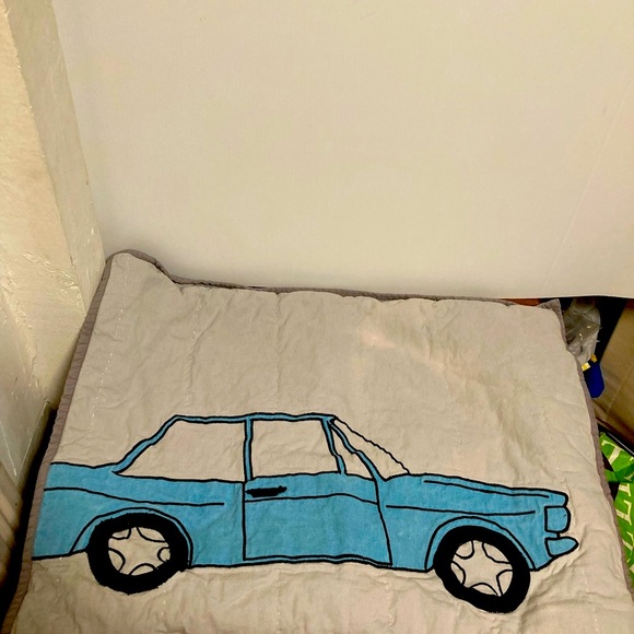 Land of Nod pillow shams - Picture 10 of 11